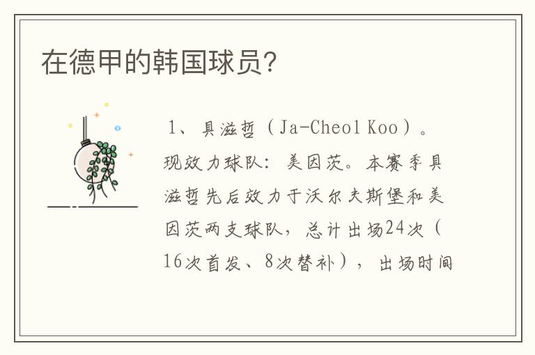 在德甲的韩国球员?