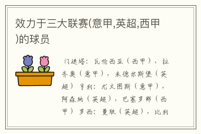 效力于三大联赛(意甲,英超,西甲)的球员