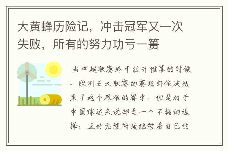 大黄蜂历险记,冲击冠军又一次失败,所有的努力功亏一篑