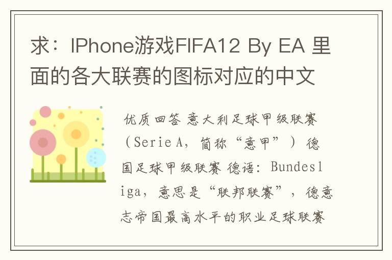 求:IPhone游戏FIFA12 By EA 里面的各大联赛的图标对应的中文名称 例如:Liga BBVA 西甲