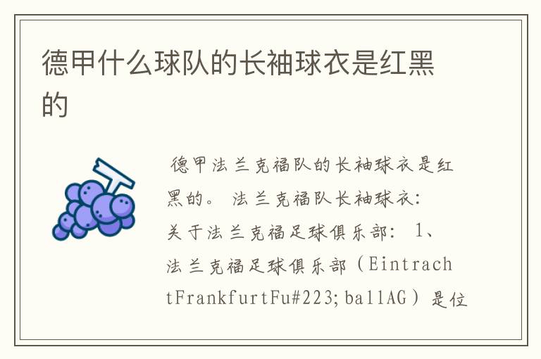 德甲什么球队的长袖球衣是红黑的