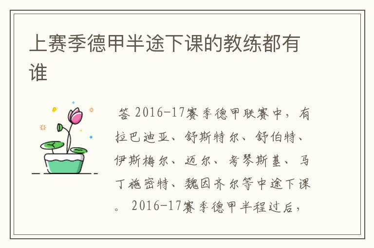 上赛季德甲半途下课的教练都有谁
