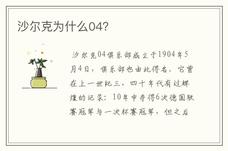 沙尔克为什么04?