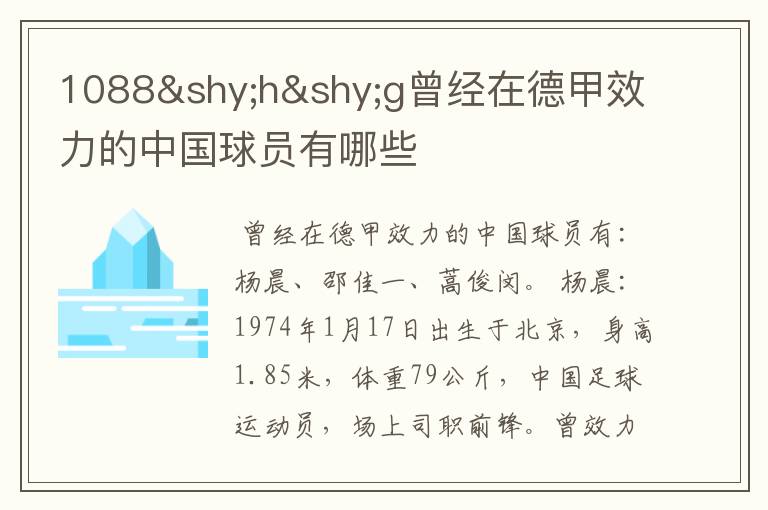 1088­h­g曾经在德甲效力的中国球员有哪些