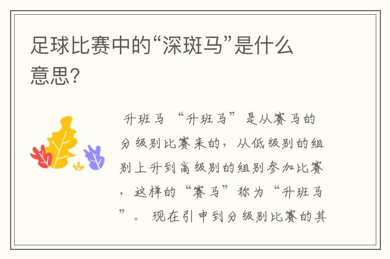 足球比赛中的“深斑马”是什么意思?