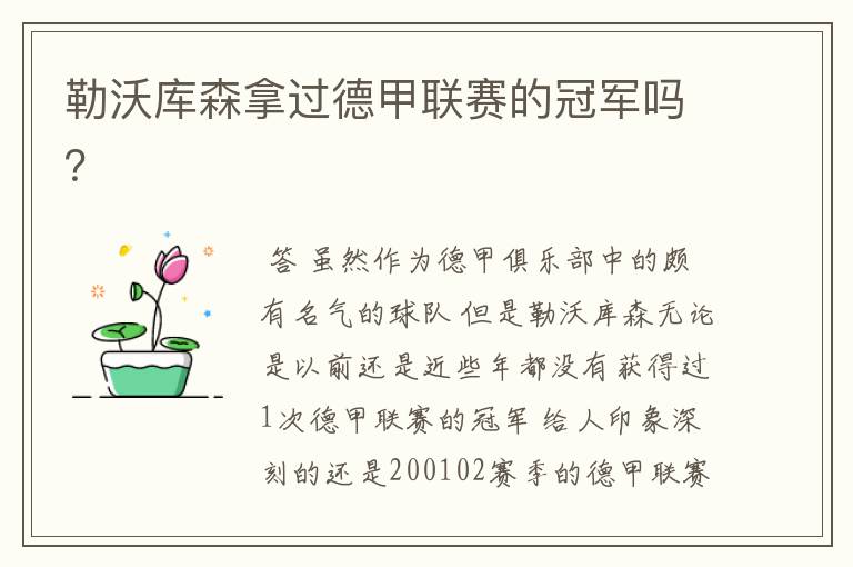 勒沃库森拿过德甲联赛的冠军吗?