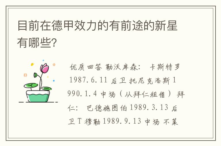 目前在德甲效力的有前途的新星有哪些?
