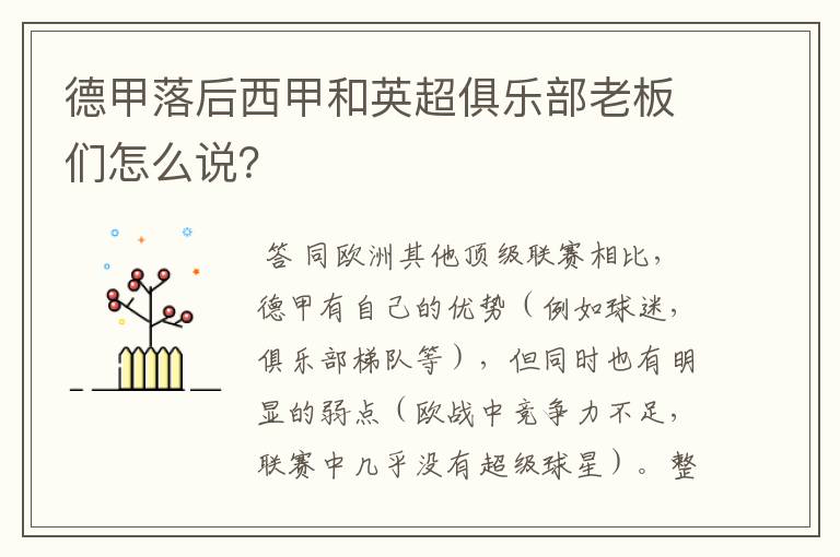 德甲落后西甲和英超俱乐部老板们怎么说?