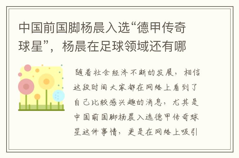 中国前国脚杨晨入选“德甲传奇球星”,杨晨在足球领域还有哪些成就?
