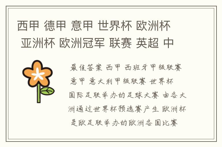 西甲 德甲 意甲 世界杯 欧洲杯 亚洲杯 欧洲冠军 联赛 英超 中超 分别是什么意思啊?