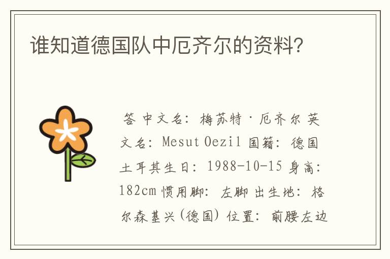 谁知道德国队中厄齐尔的资料?