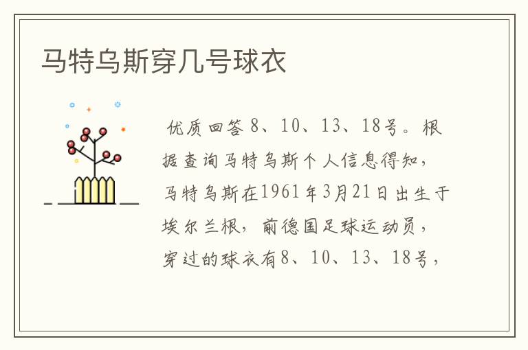 马特乌斯穿几号球衣