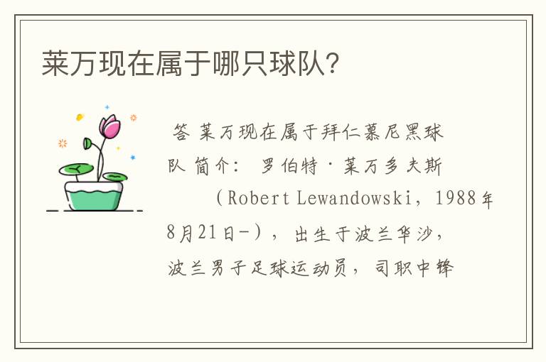 莱万现在属于哪只球队?