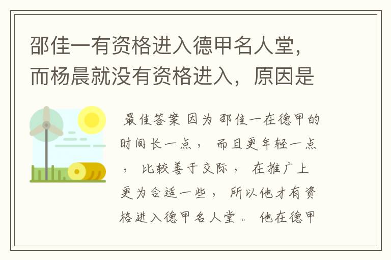 邵佳一有资格进入德甲名人堂,而杨晨就没有资格进入,原因是什么?