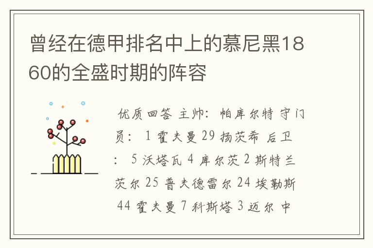 曾经在德甲排名中上的慕尼黑1860的全盛时期的阵容