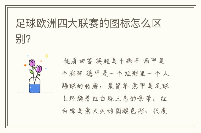 足球欧洲四大联赛的图标怎么区别?