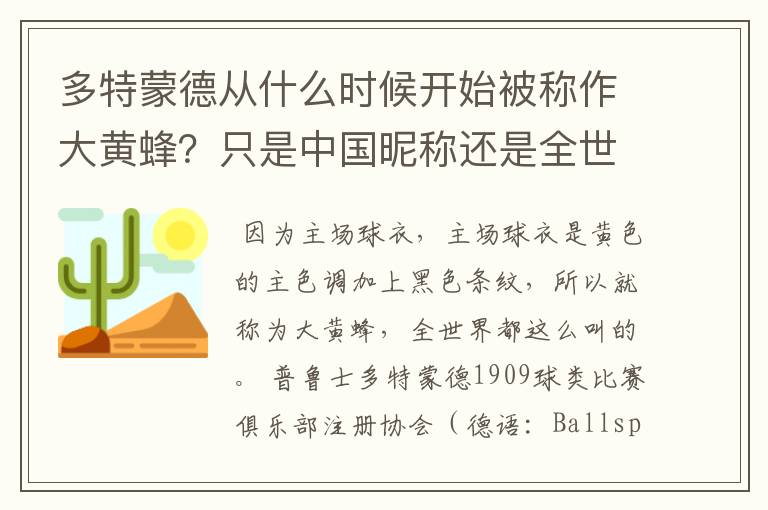 多特蒙德从什么时候开始被称作大黄蜂?只是中国昵称还是全世界范围都这么称呼