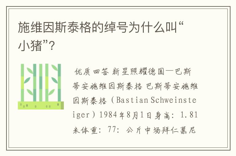施维因斯泰格的绰号为什么叫“小猪”?