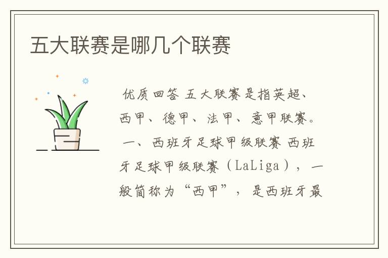 五大联赛是哪几个联赛