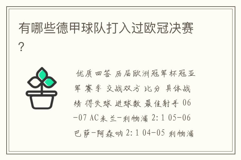 有哪些德甲球队打入过欧冠决赛?