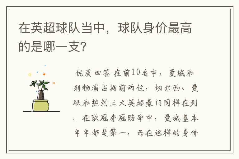 在英超球队当中,球队身价最高的是哪一支?