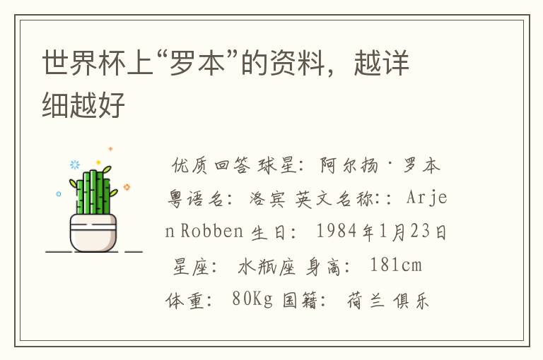 世界杯上“罗本”的资料,越详细越好