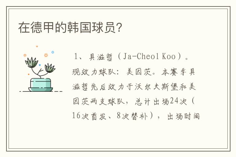 在德甲的韩国球员?