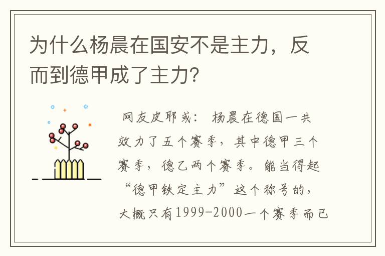 为什么杨晨在国安不是主力,反而到德甲成了主力?