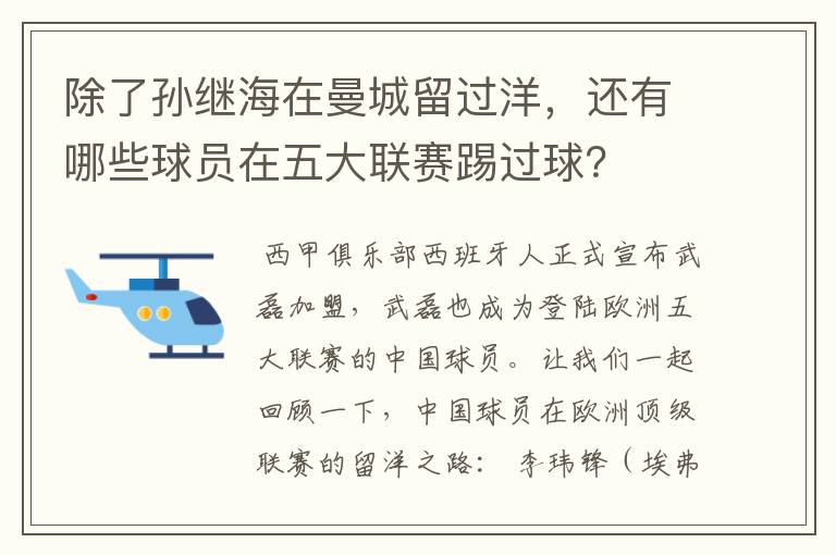 除了孙继海在曼城留过洋,还有哪些球员在五大联赛踢过球?