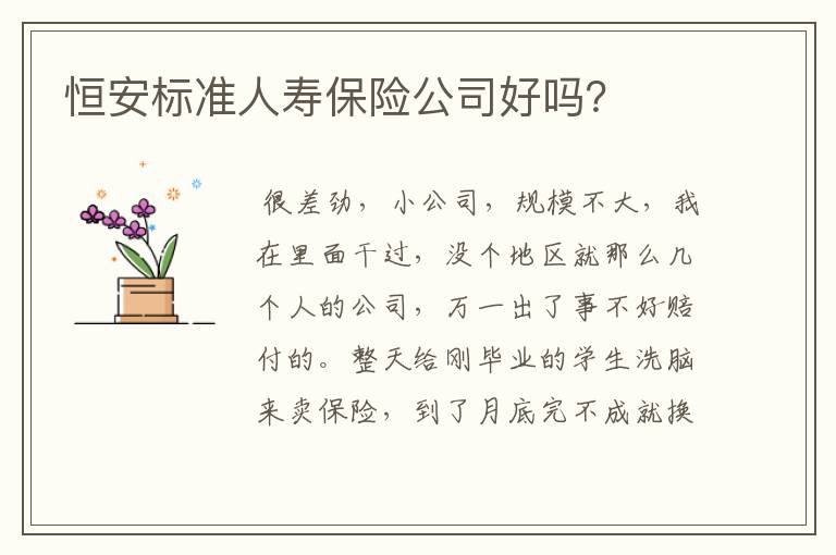 恒安标准人寿保险公司好吗?