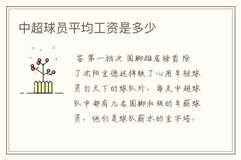 中超球员平均工资是多少