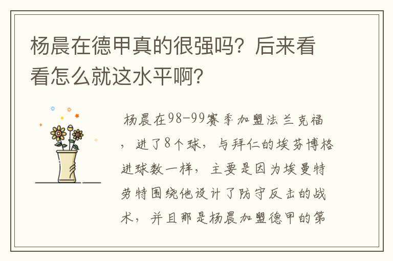 杨晨在德甲真的很强吗？后来看看怎么就这水平啊？