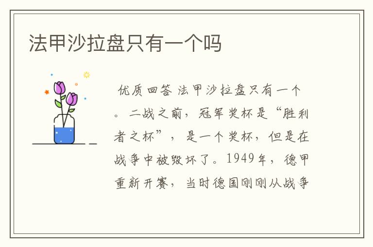 法甲沙拉盘只有一个吗