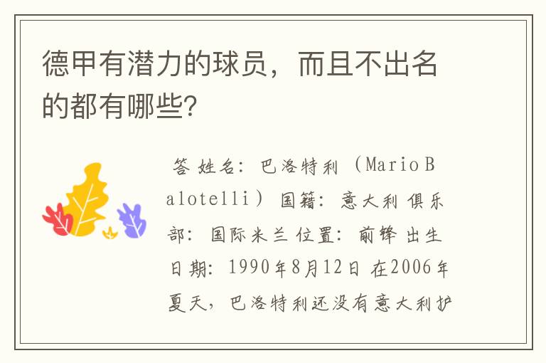 德甲有潜力的球员,而且不出名的都有哪些?