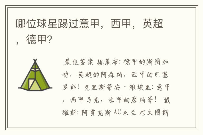 哪位球星踢过意甲,西甲,英超,德甲?