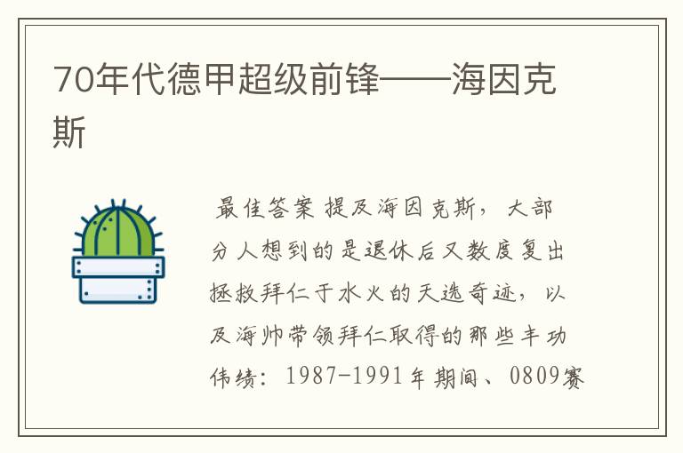 70年代德甲超级前锋——海因克斯
