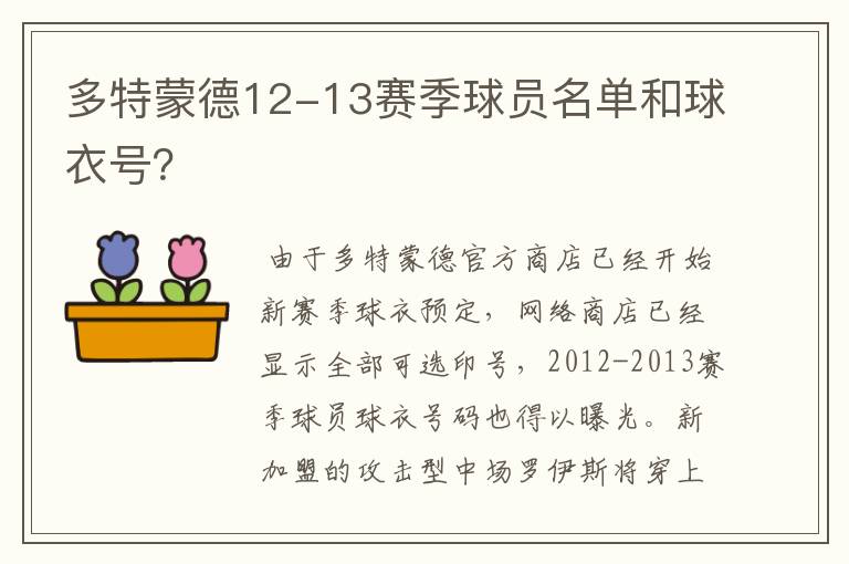 多特蒙德12-13赛季球员名单和球衣号?
