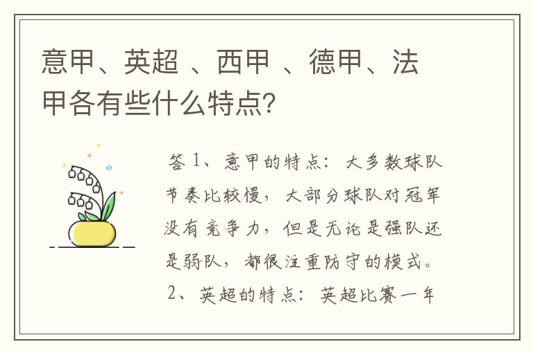意甲、英超 、西甲 、德甲、法甲各有些什么特点?