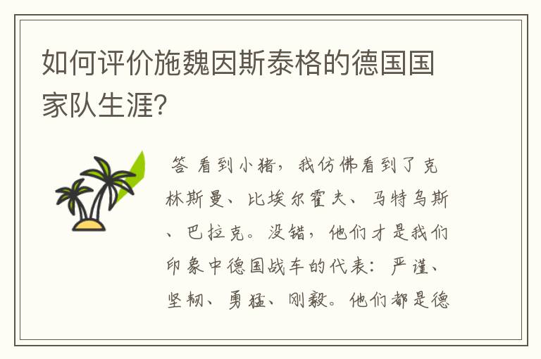 如何评价施魏因斯泰格的德国国家队生涯?