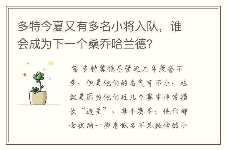 多特今夏又有多名小将入队,谁会成为下一个桑乔哈兰德?