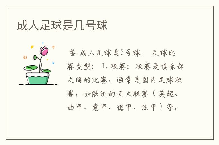 成人足球是几号球