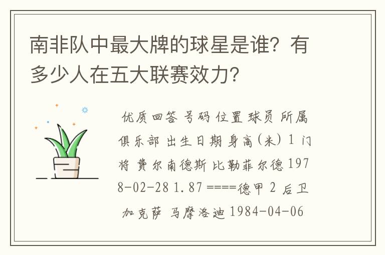 南非队中最大牌的球星是谁?有多少人在五大联赛效力?