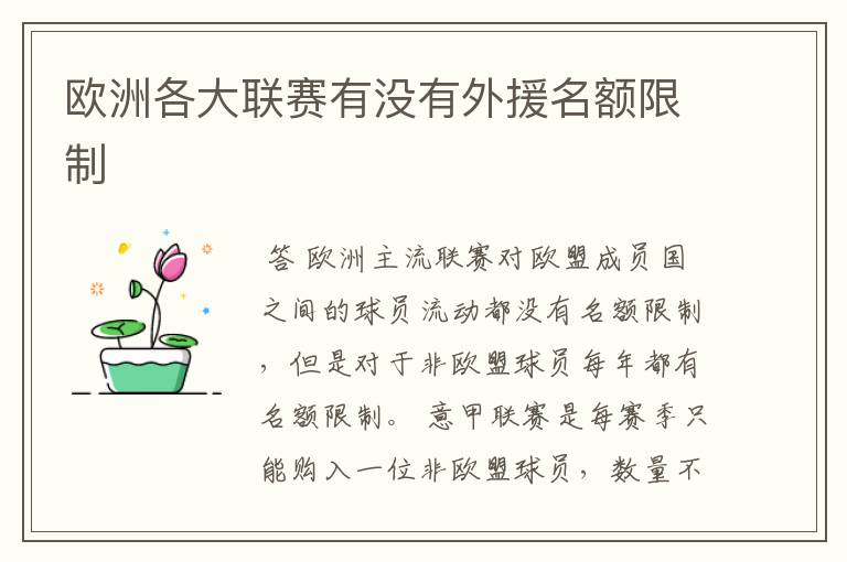 欧洲各大联赛有没有外援名额限制