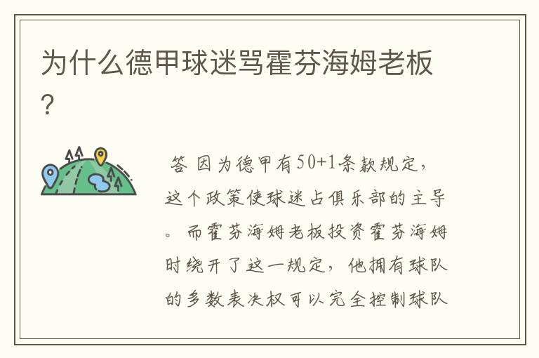 为什么德甲球迷骂霍芬海姆老板?