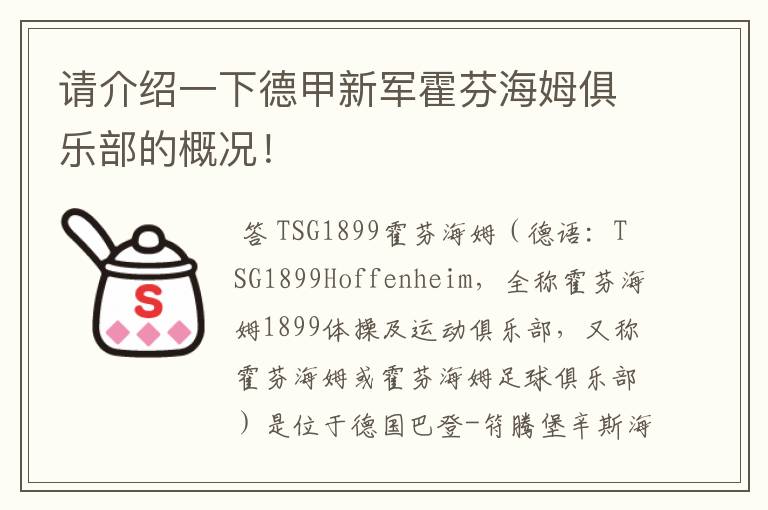 请介绍一下德甲新军霍芬海姆俱乐部的概况!