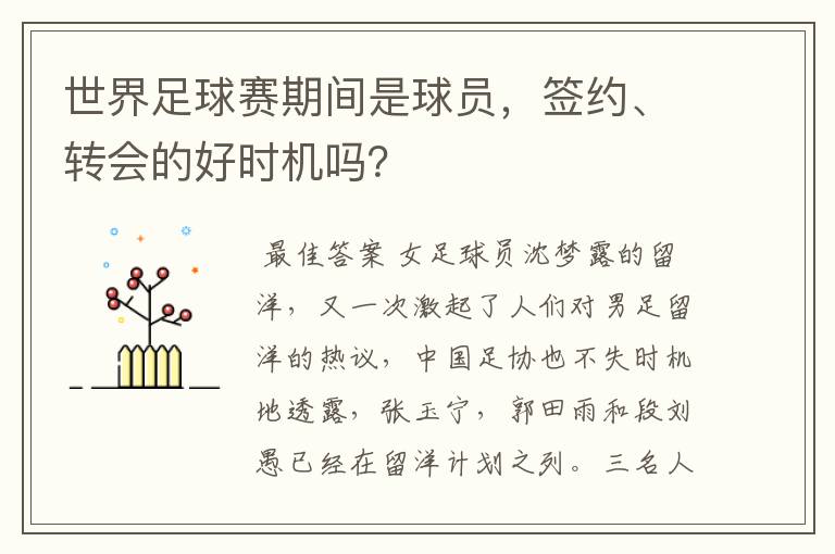 世界足球赛期间是球员,签约、转会的好时机吗?