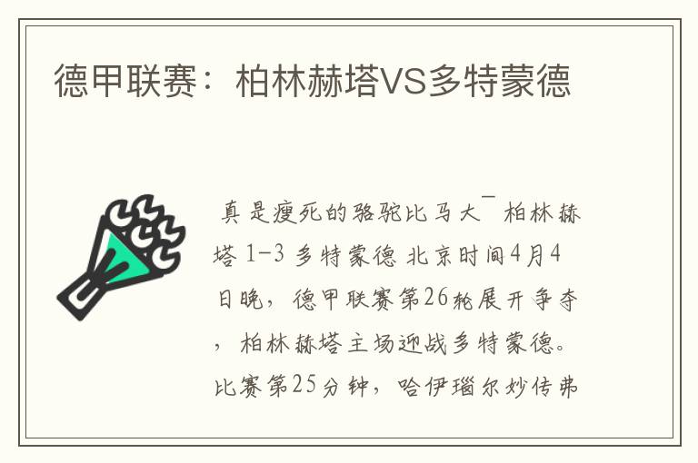 德甲联赛:柏林赫塔VS多特蒙德