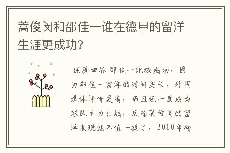 蒿俊闵和邵佳一谁在德甲的留洋生涯更成功?