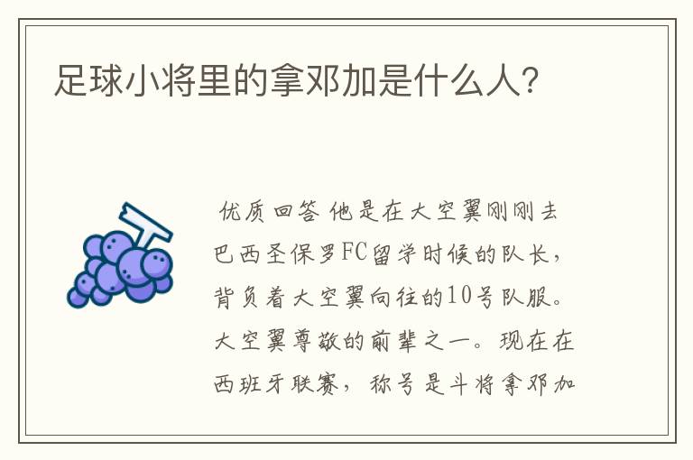 足球小将里的拿邓加是什么人?