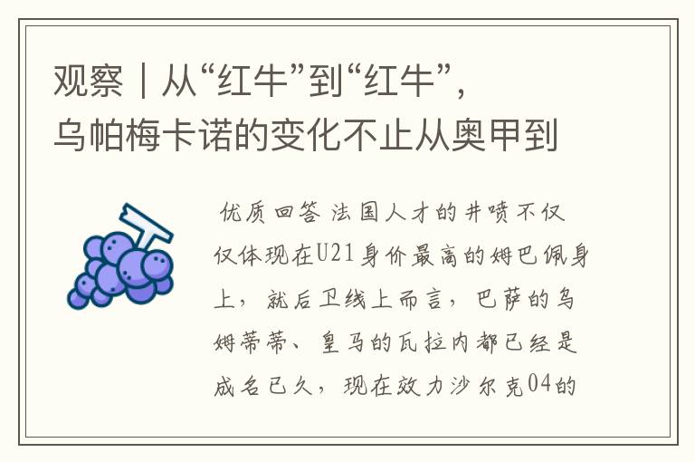 观察|从“红牛”到“红牛”,乌帕梅卡诺的变化不止从奥甲到德甲